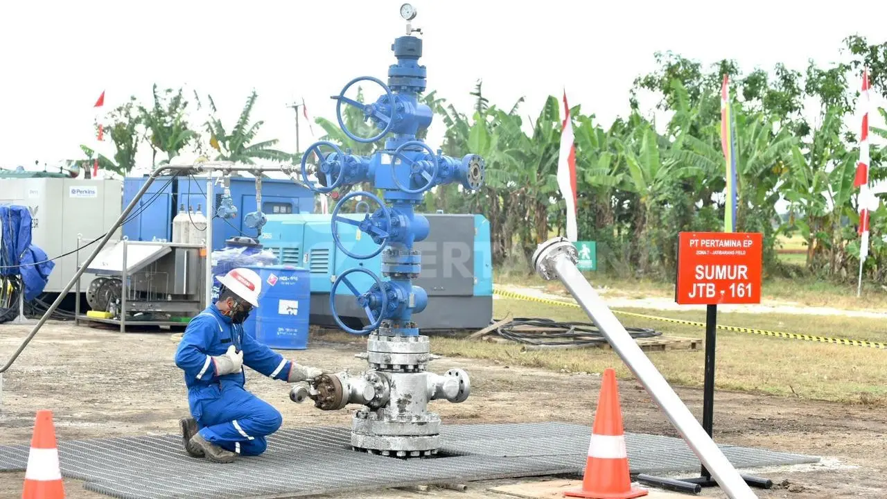 Carbon Capture and Storage Jadi Terobosan Bagi Perekonomian Indonesia