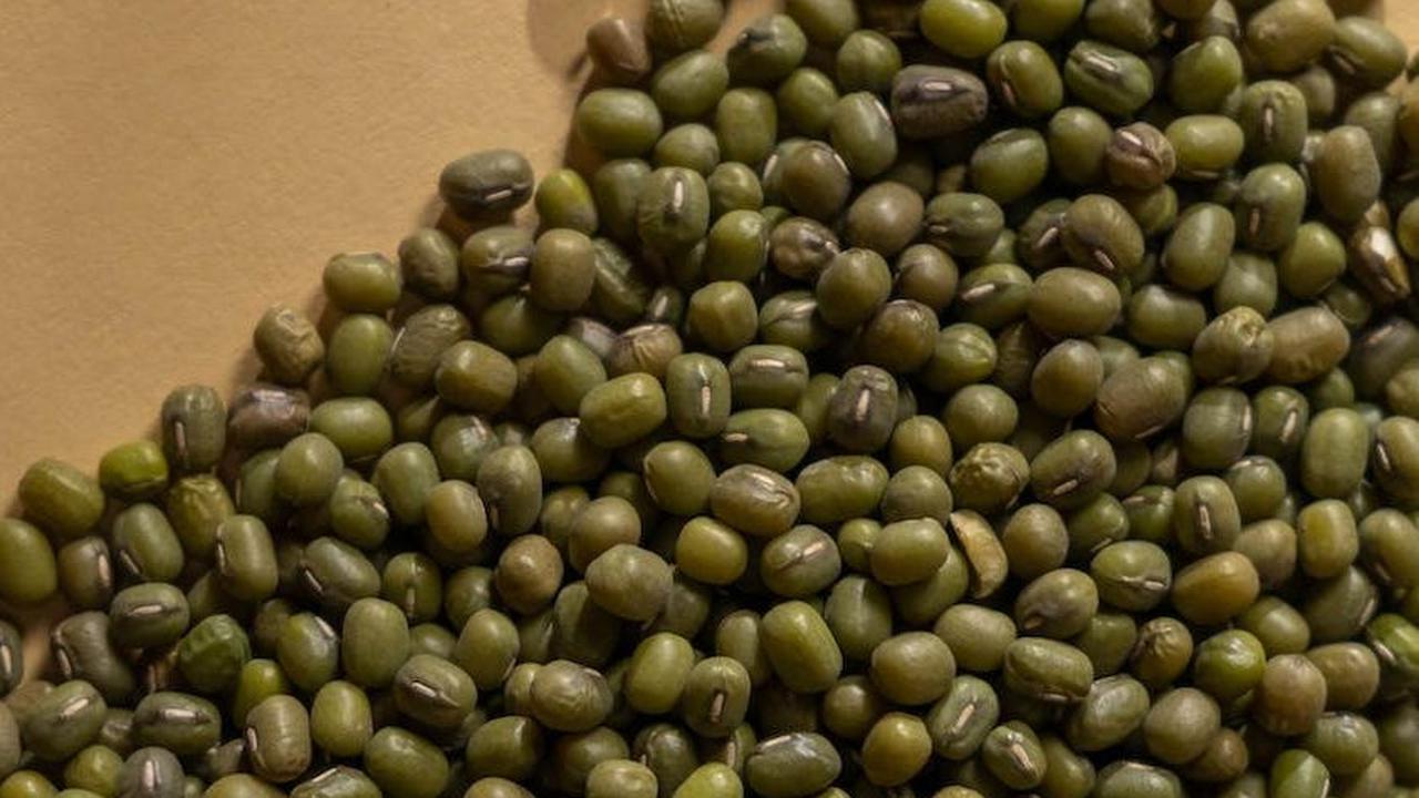 Manfaat Kacang Hijau untuk Ibu Hamil Tua