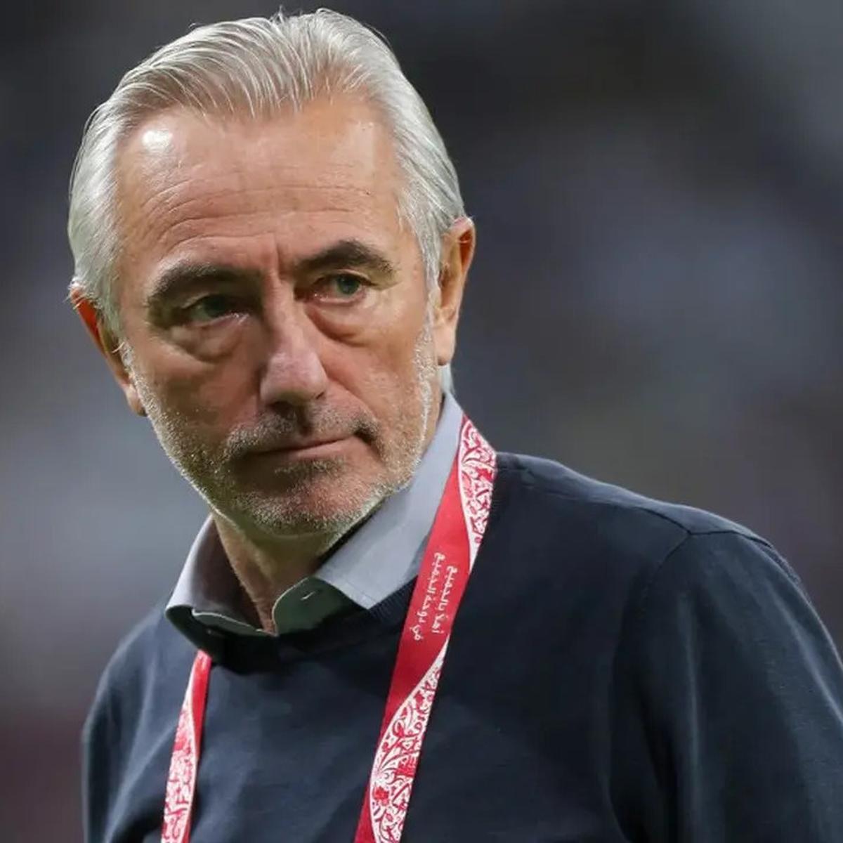 Bert van Marwijk
