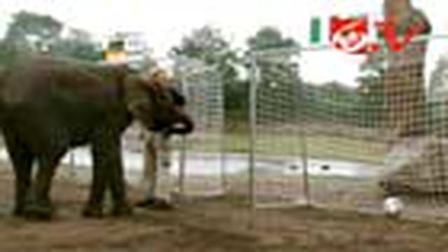 liputan6