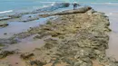 Gambar yang dirilis 7 Oktober 2019 memperlihatkan minyak tumpah di pantai Pontal de Coruripe di Coruripe, negara bagian Alagoas, Brasil. Presiden Jair Bolsonaro menyebut tumpahan minyak yang mencemari pantai di kawasan timur laut Brasil itu emungkinan berasal dibuang secara kriminal. (HO/IBAMA/AFP)
