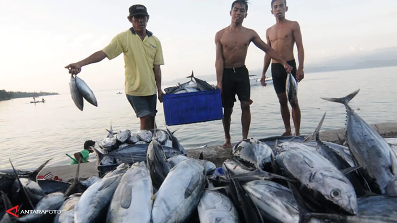 ikan-tuna-130715b.jpg