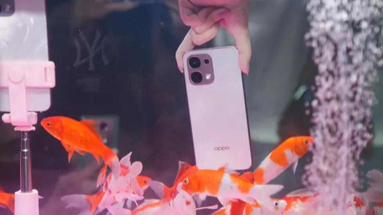 Rincian Spesifikasi dan Harga Oppo A6 Pro 4G serta Oppo A6 Pro 5G di Indonesia