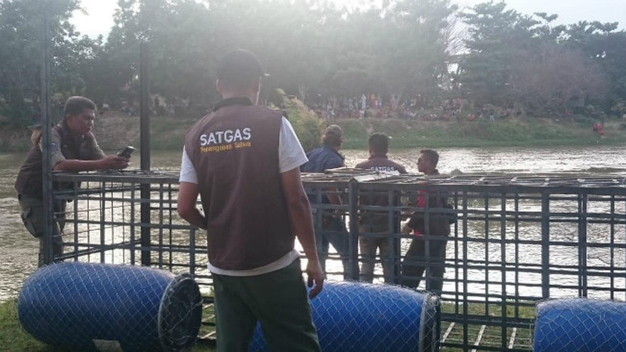 Discovery Channel dan Forrest Galante Kantongi Dukungan KLHK untuk Penyelamatan Buaya Berkalung Ban