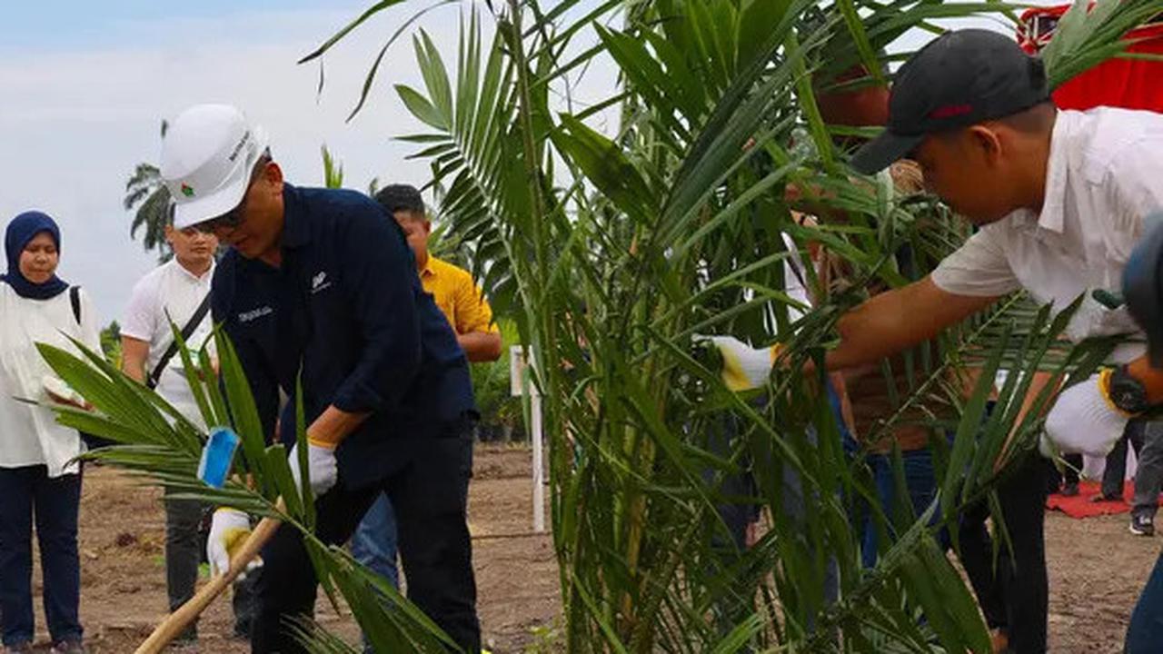 Produksi Gula PTPN Tahun 2024 Tembus 851 Ribu Ton