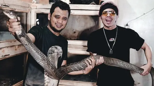 Atta Halilintar