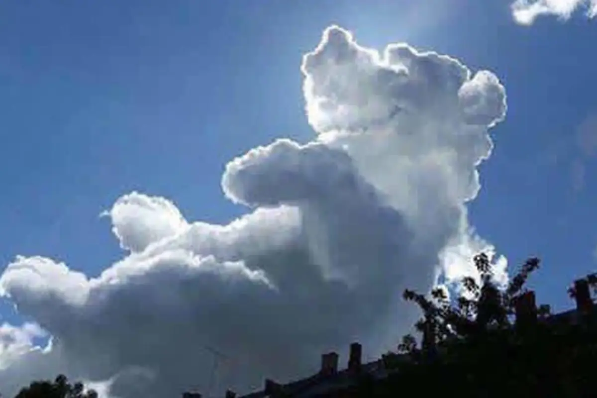 Photo: Copyright today.com