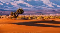 Top 9 Places to Visit in Morocco That Are Truly Magical