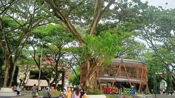 Kota Samarinda Lampaui Target Sediakan Ruang Terbuka Hijau