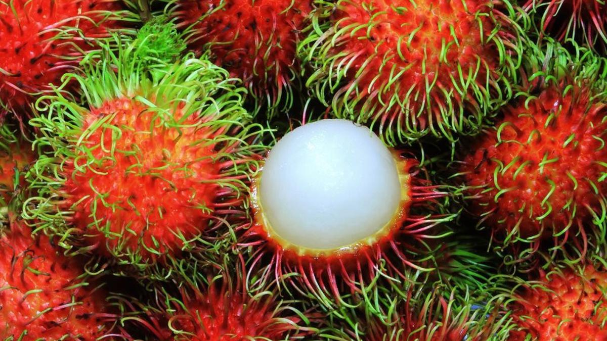 3 Khasiat Rambutan untuk Kecantikan