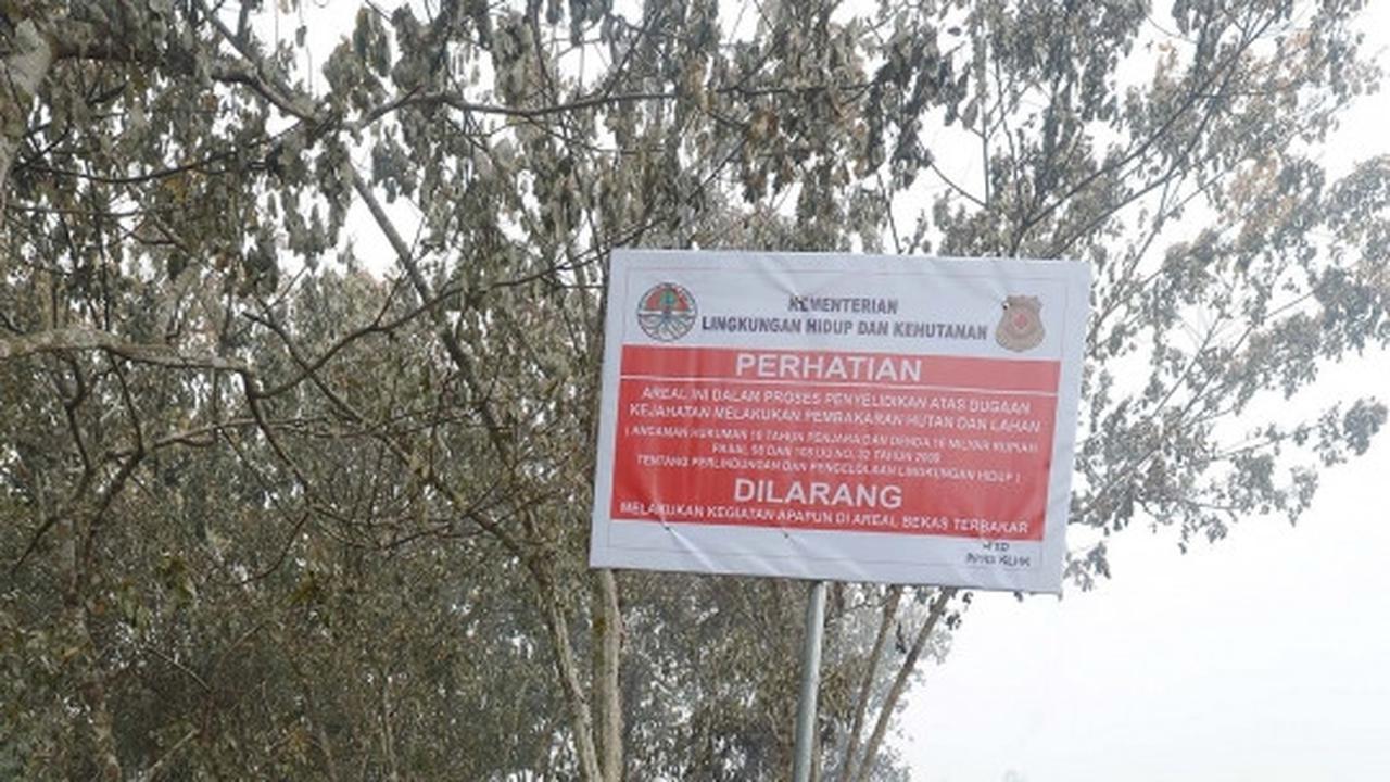 Ini lahan di Riau yang diduga sengaja dibakar