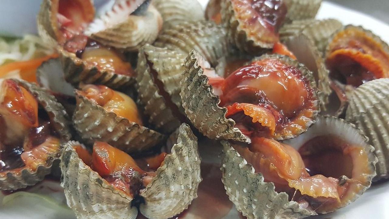 6. Kerang Macan