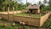 7 Model Kandang Ayam Umbaran dengan Pagar Bambu