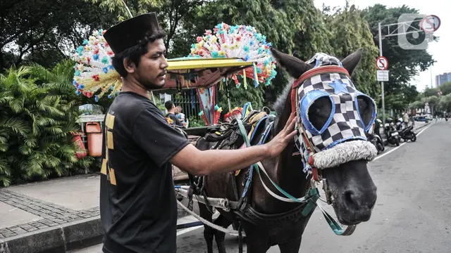 Larangan Operasional Delman di Monas