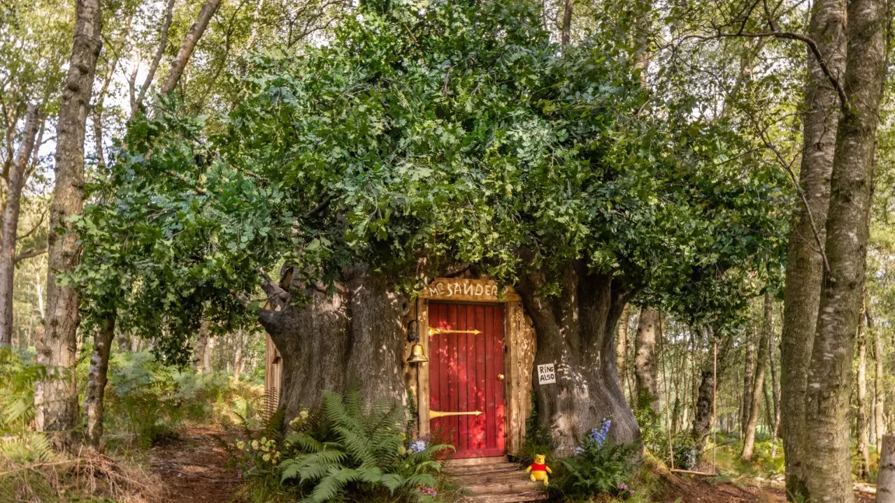 Rumah Pohon Mirip Milik Winnie The Pooh Disewakan, Tamu Diizinkan Tidur Siang Lama