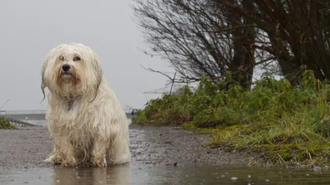 Foto: copyright Thinkstockphotos.com