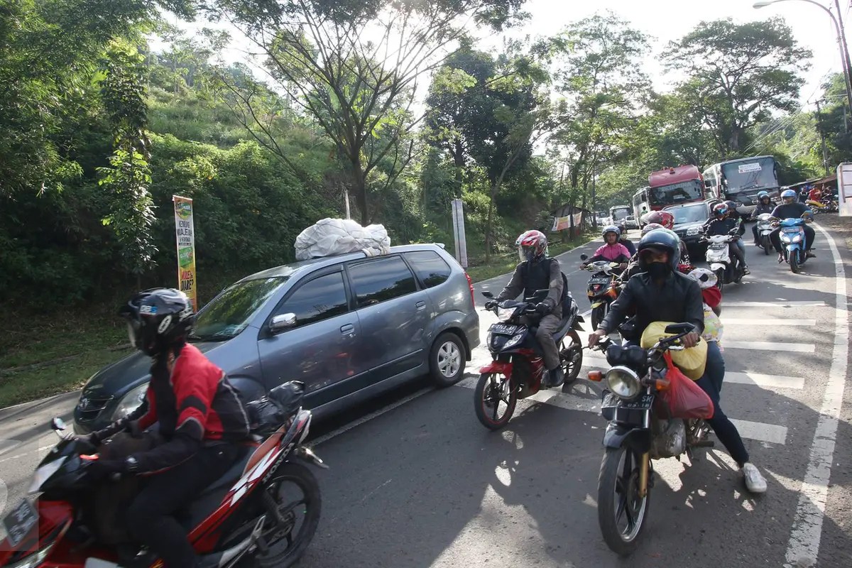 20160702-Bus Pemudik Tabrak Pohon, Lingkar Nagrek Tersendat-Jawa Barat