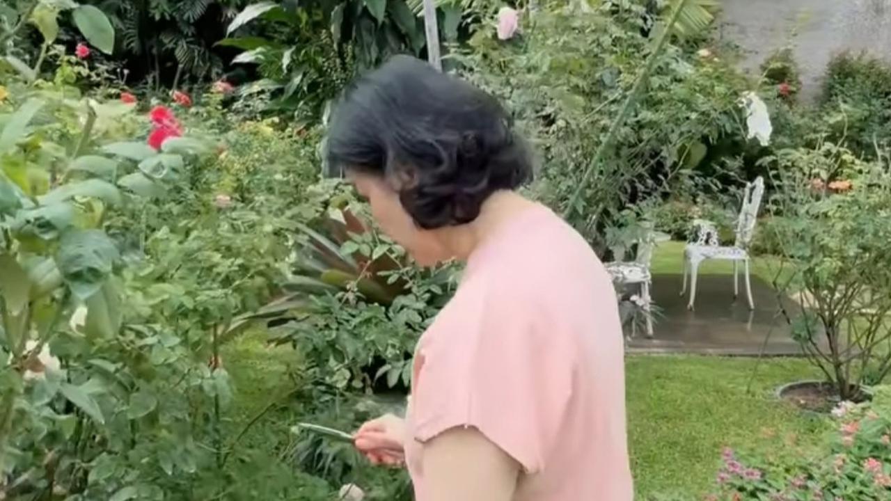 5 Potret Kebun Bunga Mawar Desiree Tarigan di Halaman Belakang Rumah, Bunga Bermekaran Warna-warni Sangat Cantik