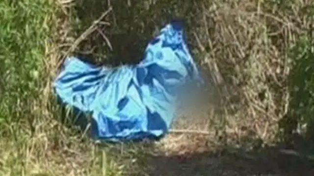Mayat Perempuan Tanpa Busana Ditemukan di Kebun Perhutani