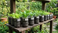 Botol Plastik 600 ml, 1,5 Liter, dan 2 Liter Mana Paling Cocok untuk Berkebun? Ini Penjelasannya