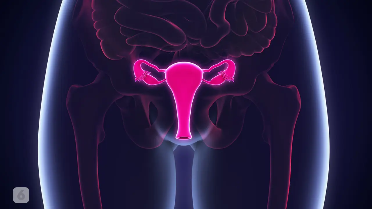 Vagina