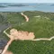 Korporasi Keruk Bukit di Hutan Lindung Tanjung Piayu Batam