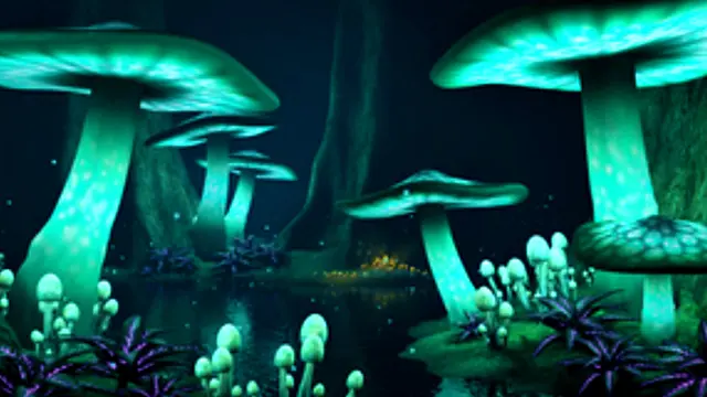 Magic Mushroom