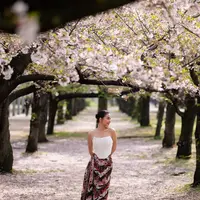 Berada di Jepang untuk membawakan tarian tradisional Indonesia, Ariel tak menyia-nyiakan momen langka saat bunga sakura bermekaran penuh, bertepatan dengan fase bulan purnama yang memperindah suasana musim semi di Osaka Castle. [@arieltatum].