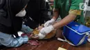 Provinsi DKI Jakarta tetap merupakan daerah resiko tinggi terhadap penularan rabies. (merdeka.com/Imam Buhori)