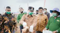 Panen hasil jagung hibrida  milik Koperasi Riau Tani Berkah Sejahtera (RTBS) di Rumbai Barat, Pekanbaru, Riau. (Ist)