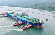 Genap 57 Tahun, Ini Arah Baru Bisnis Pertamina Trans Kontinental
