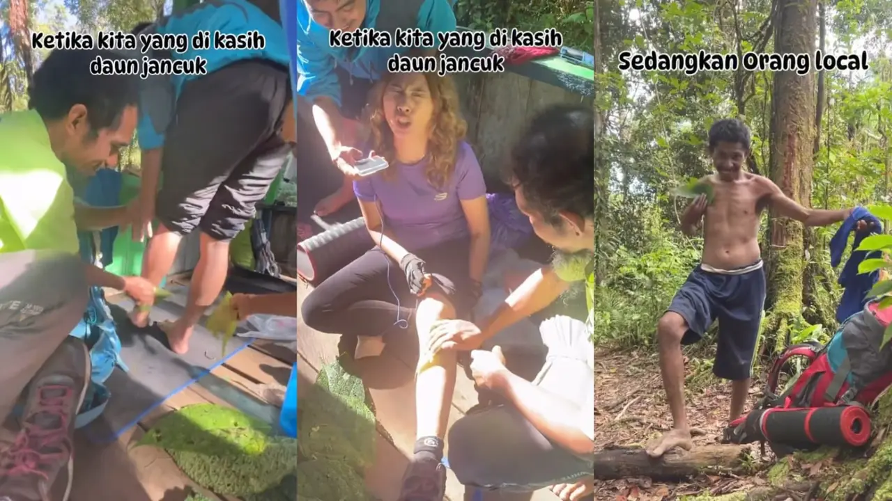 Video Viral: Pendaki Kesakitan Tersentuh Daun Jancuk di Jalur Gunung. Ternyata, Ini Alasan Daun Jancuk Dijuluki Musuh Bebuyutan Para Pendaki (Tangkapan Layar Akun @ainunrozi)