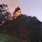 Kebakaran hutan dan lahan di Gunung Panderman Batu. (Istimewa)
