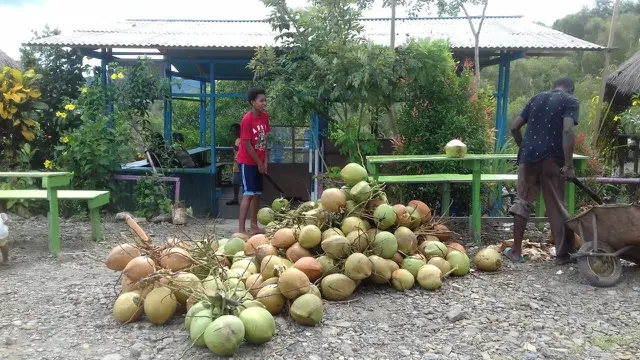 Papua