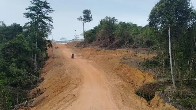 Kondisi hutan lindung Tanjung Piayu rusak akibat perambahan