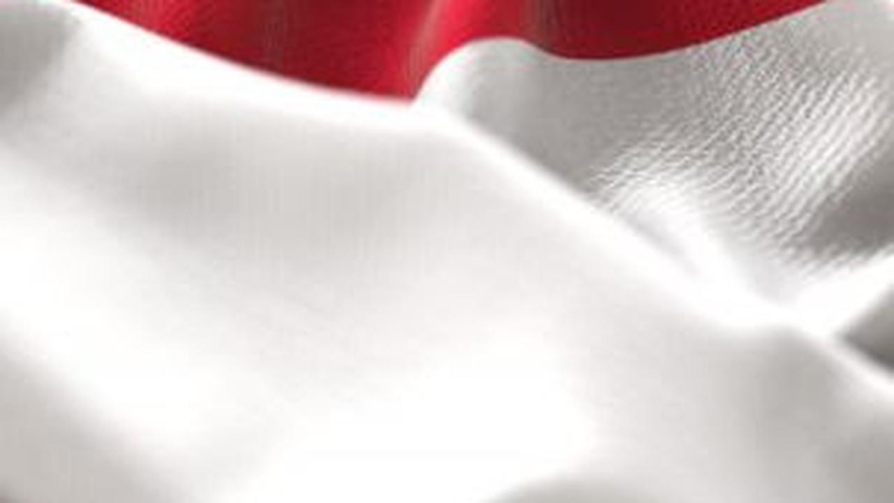 <b>Peserta Pemilu Legislatif 2004</b>