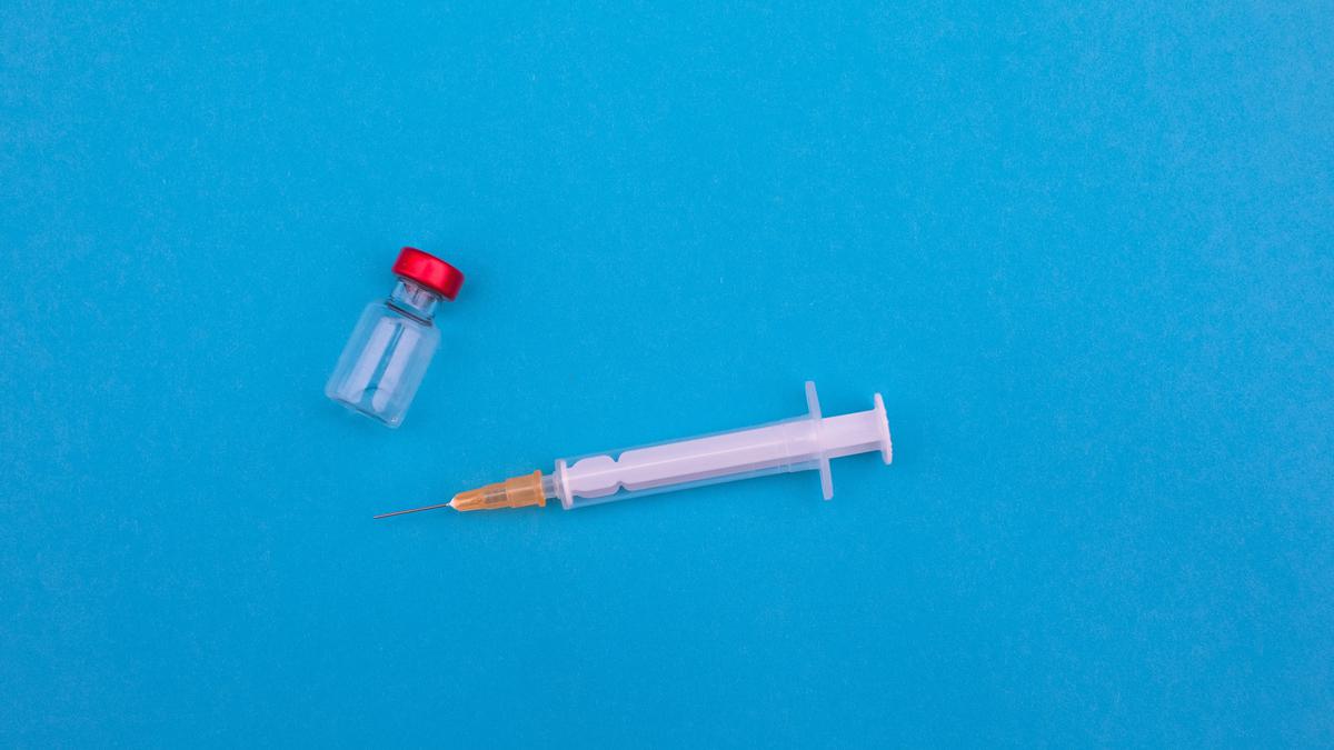 Cegah Rabies Meluas, Kemenkes Kirim 2.000 Vial VAR ke Timor Leste
