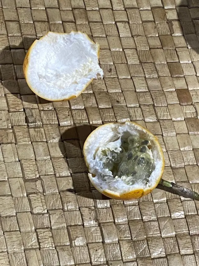 Petualangan Sherina Munaf ke Wae Rebo (Instagram/@sherinamunaf)