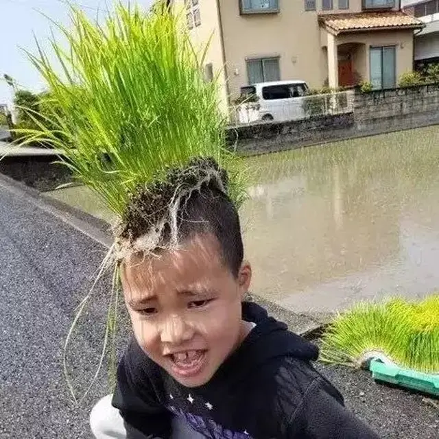 6 Tingkah Konyol Orang Punya Rambut dari Rumput, Absurd Banget