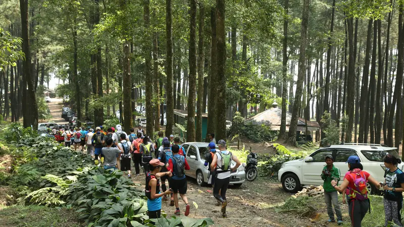 Keseruan Lomba Lari di Hutan