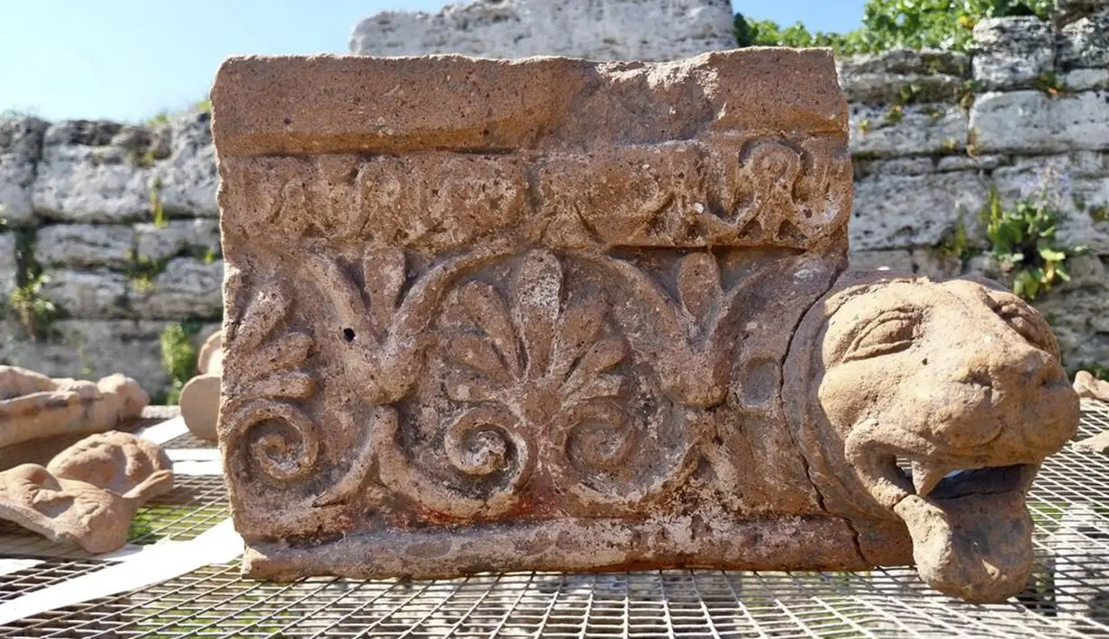 Para arkeolog menemukan tujuh kepala lembu yang ditemukan di sekitar altar sebuah kuil seolah-olah telah diletakkan di sana di atas tanah dalam suatu bentuk pemujaan. (Paestum Velia Archeological Park via AP)