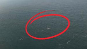 Andrea Ramadhan Sisir Anak Krakatau Pakai Drone, Netizen Soroti Warna Putih di Video