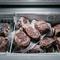 Cara Mengolah Daging Sapi dari Freezer (Foto: Gemini AI)