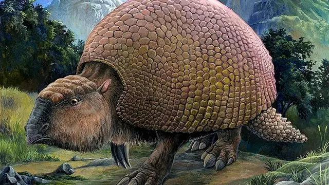 Glyptodont (Wikipedia/Creative Commons)