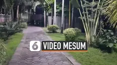 vertical mesum