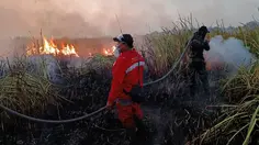 Kebakaran Way Kambas Belum Usai, Titik Api Kembali Muncul