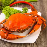 ilustrasi kepiting rebus/copyright by Andrey Starostin (Shutterstock)