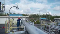 Produksi Migas Naik, PEP Kantongi Pendapatan USD 887,44 Juta