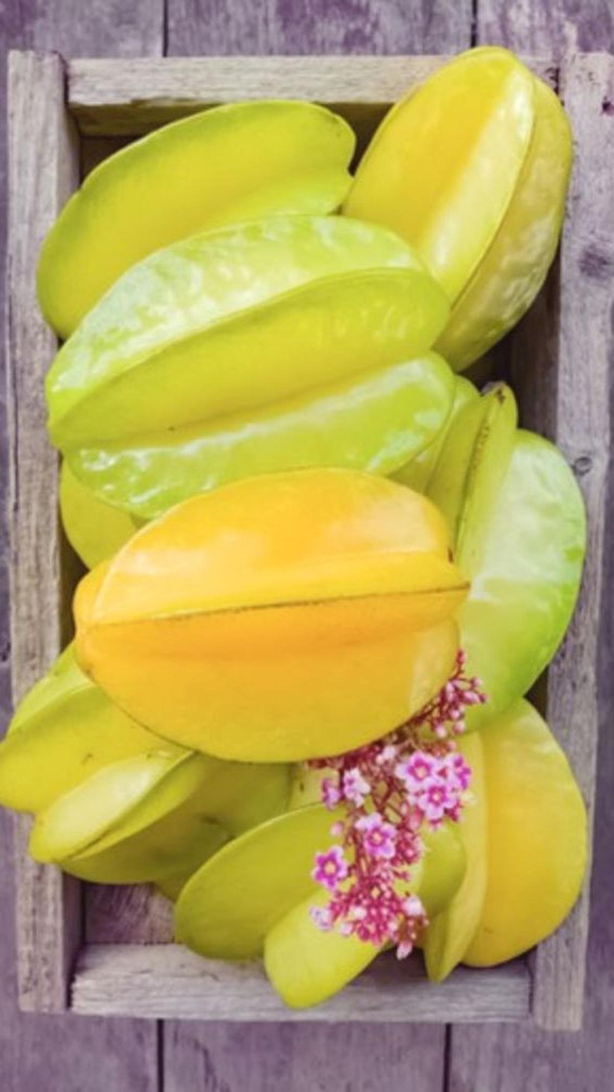 Sumber Senyawa Anti Inflamasi dan Antioksidan<br>