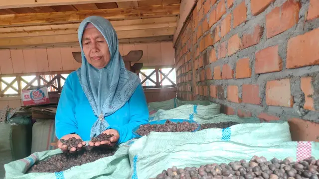 Kembalikan Nama Kopi Lahat, Pemkab Gandeng Ribuan Petani dan e-Commerce